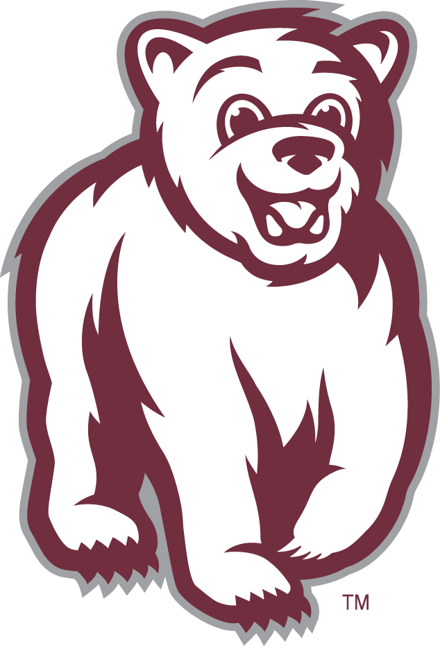 Montana Grizzlies 2010-Pres Mascot Logo v3 iron on transfers for T-shirts
